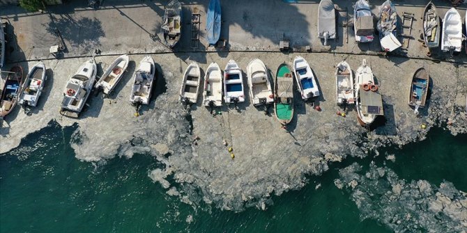 İzmit Körfezi'nde müsilaj etkisini sürdürüyor