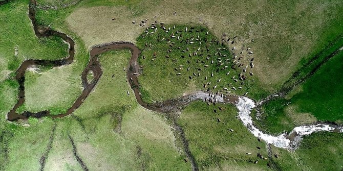 Erzurum'da kar sularının oluşturduğu menderesler büyülüyor
