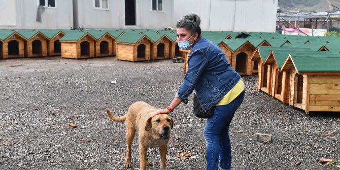 Can dostlar için Büyükşehir ve gönüllüler el ele