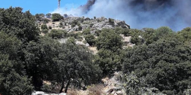 Makilik alandaki yangın vericiler ve elektrik hattına da zarar verdi