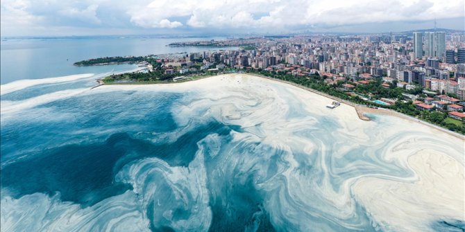 Caddebostan Sahili'nde müsilaj yoğunluğu arttı