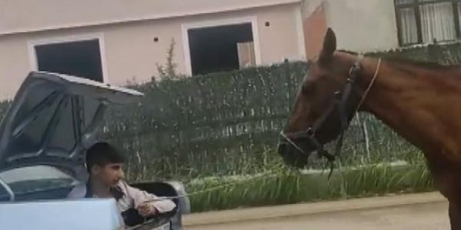 Otomobilin bagajındaki çocuğun ipe bağlı atı koşturduğu anlar kamerada