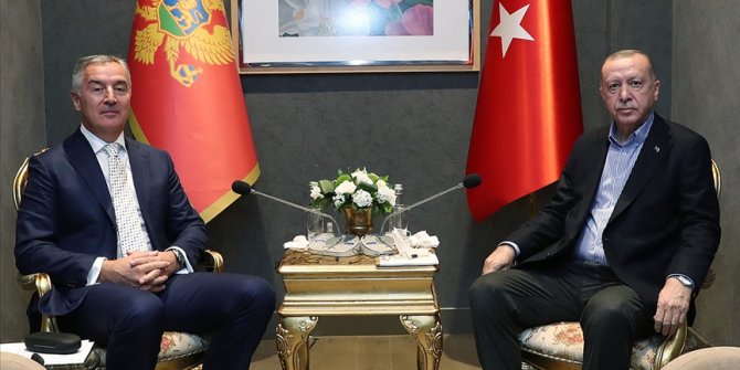 Cumhurbaşkanı Erdoğan, Karadağ Cumhurbaşkanı Cukanoviç'le görüştü