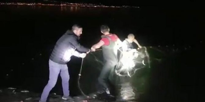 Van'da, kaçak avlanan 2 ton 350 kilo inci kefali ele geçirildi