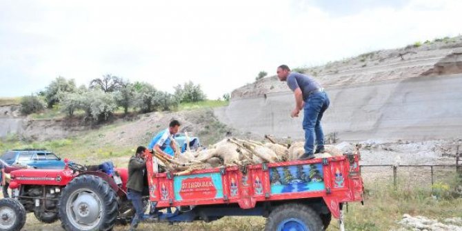 Ağılda toprak kaydı, 58 küçükbaş hayvan öldü