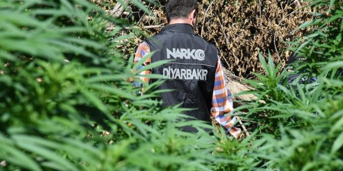 Diyarbakır merkezli 5 ilde 'narkoterör finans' operasyonu başlatıldı