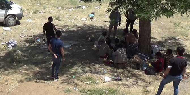 Bitlis'te, yol kenarına terk edilmiş 70 kaçak göçmen yakalandı