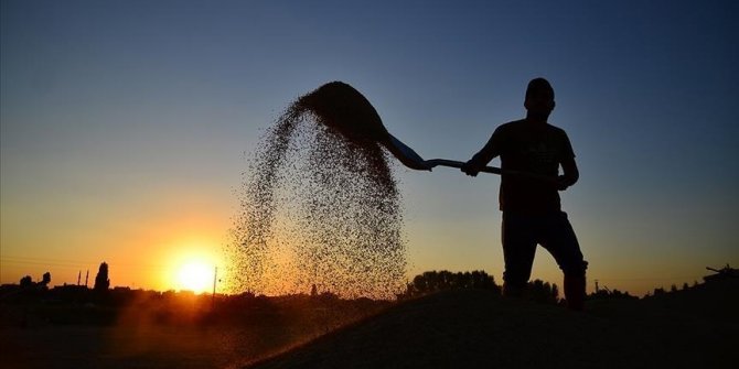 Tarım Kredi'den 'mobil onaylı kredi' fırsatı