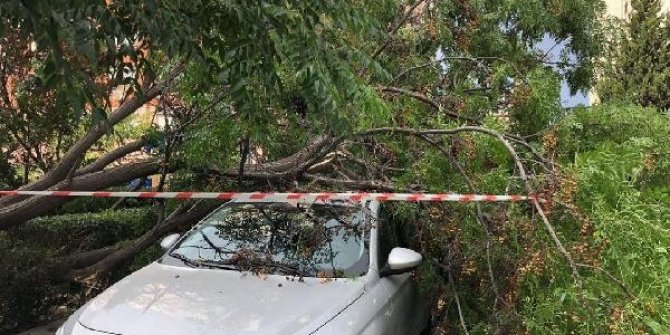 İzmir'de fırtına etkili oldu