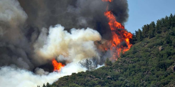 Marmaris'te orman yangını; plajdakiler korkuyla izledi