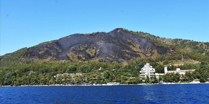 Marmaris'te yanan ormanlık alan yeniden ağaçlandırılacak