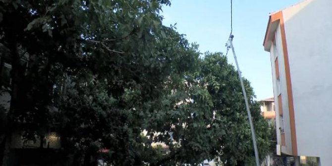 Esenyurt'ta TIR'ın çarptığı ağaç elektrik direğine bağlı kabloların üzerine düştü