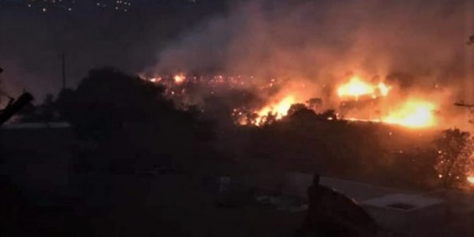 İzmir'de incir ve zeytin ağaçlarının bulunduğu 40 dekarlık alan yandı