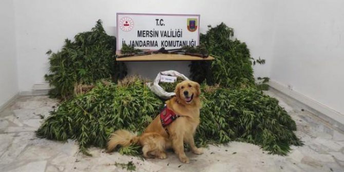 Mersin'de uyuşturucu operasyonu: 7 gözaltı