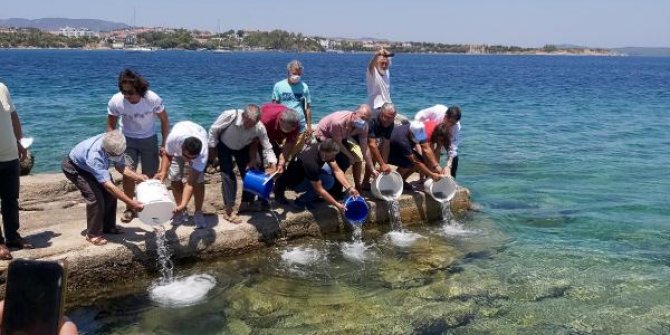 Datça'da denize 20 bin yavru levrek bırakıldı