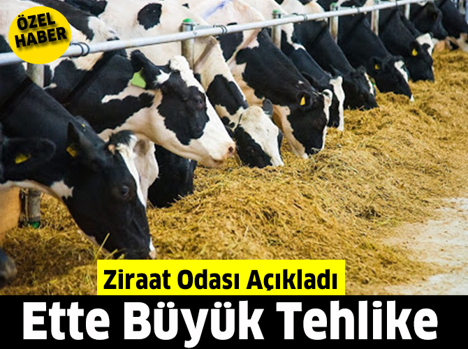 Kırmızı Ette Büyük Tehlike