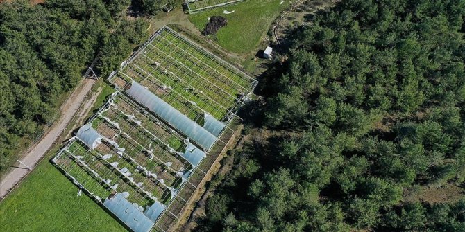 Devlet destekli tarım sigortalarında toplam sigorta bedeli yüzde 50,7 arttı