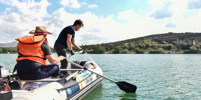 Başkent’te balık türleri keşfediliyor