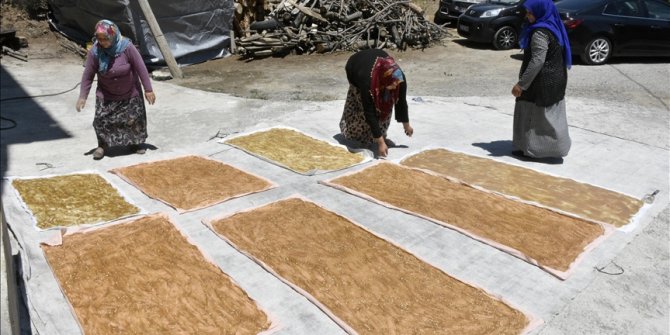 Gümüşhane'de dutun pekmez ve pestile yolculuğu başladı