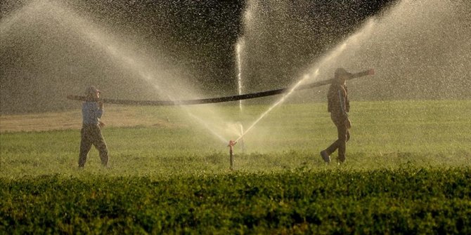 Tarım bünyesindeki tüm sektörlerle ihracatta atağa kalktı