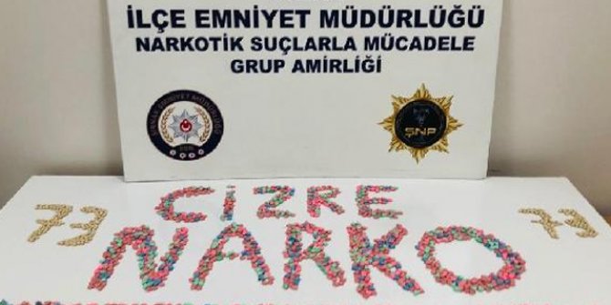 Şırnak'ta kaçakçılık ve asayiş operasyonları: 50 gözaltı