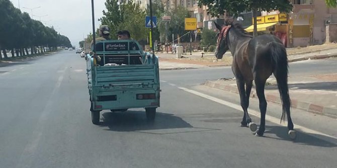 Atı motosiklete bağlayıp götüren 2 kişiye 4 bin 900 TL ceza