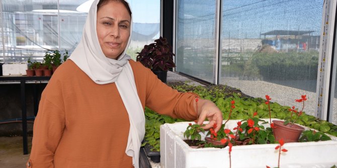 Diyarbakırlı ev hanımı Güneydoğu’nun ilk çiçek serasını kurdu