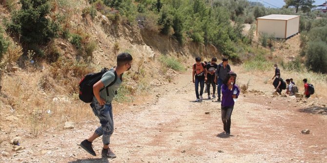 Muğla'da ormanlık alanda 74 düzensiz göçmen yakalandı