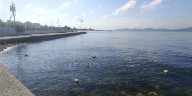 İstanbul kıyılarında müsilaj etkisini kaybetti