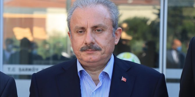 TBMM Başkanı Şentop'tan Hayvanları Koruma Kanunu'na ilişkin açıklama: Toplumun benimseyeceği düzenleme olması lazım