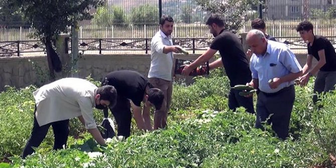 'Okul bostan'da yetiştirilen sebzeler, dar gelirli ailelere dağıtıldı