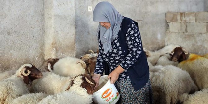 'Kadınsın yapamazsın' dediler, kendi çiftliğini kurdu