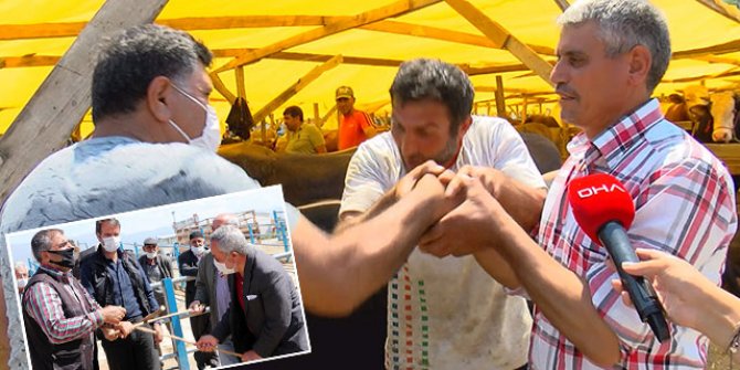 Kurban pazarlarında özlenen görüntüler: Bir yıl aradan sonra tekrar geldi