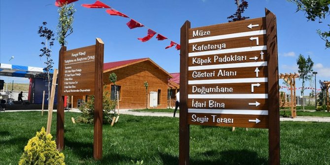 'Anadolu Aslanı' Kangal köpekleri için teknolojik tesis açıldı