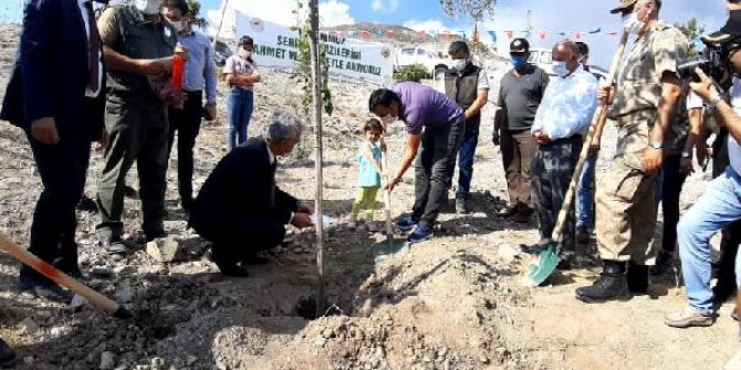 3 yaşındaki Zümre, şehit dayısı için Vali Makas'la fidan dikti