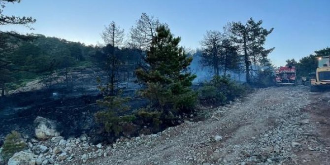 Hatay'daki örtü yangınında 3 hektarlık alan zarar gördü