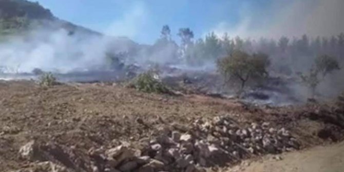 Mersin'de orman yangını