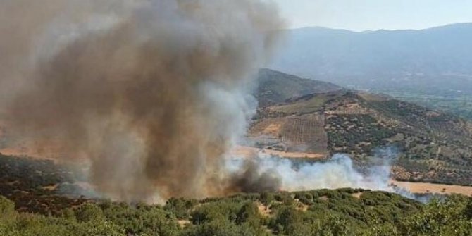 Nazilli'de ormanlık alana sıçrayan yangın 10 saatte söndürüldü