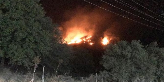 Muğla'da otluk ve sazlık alandaki yangın korkuttu