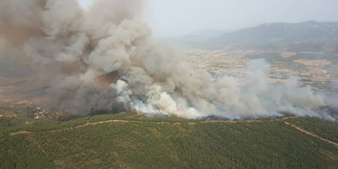 OGM Genel Müdürü Karacabey: Orman içinde mangal yakmayın