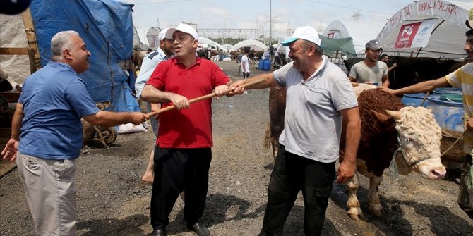 İstanbul'da kurban pazarlarındaki hareketlilik devam ediyor