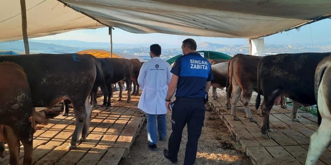 Sincan’da akıllı kurban dönemi