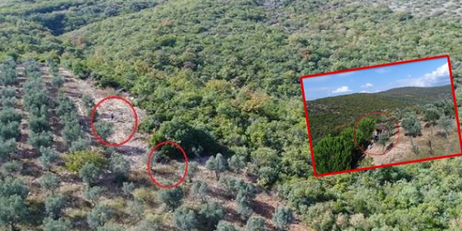 Kaçak avcılar dronla yakalandı
