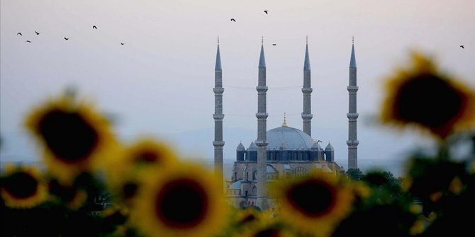 Edirne'de açan ayçiçeklerinin oluşturduğu sarı şölen kenti dev bir yağlı boya tablosuna dönüştürdü