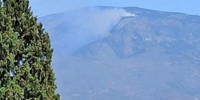 Hatay'da orman yangını