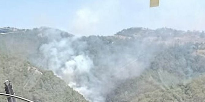 İzmir'de orman yangını