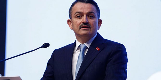 Bakan Pakdemirli'den, Arhavi'deki taşkına ilişkin açıklama