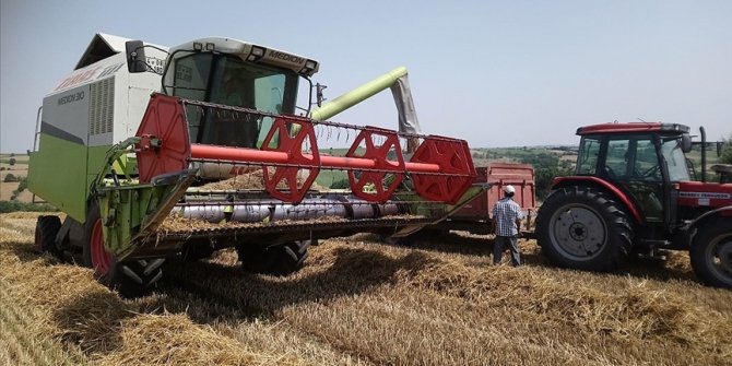 Edirne'de buğday hasadı sona erdi