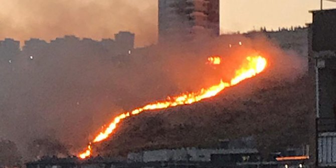 İzmir'de iki ilçede otluk alanda yangın