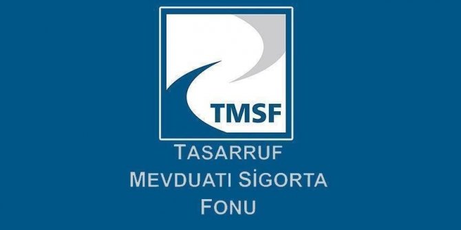 21 tasarruf finansman şirketinin tasfiyesini TMSF yönetecek